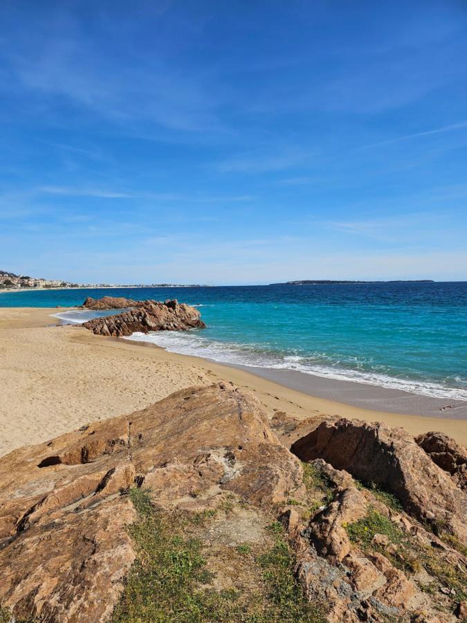 Licorne G14 Appartement Cannes Buitenkant foto
